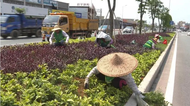 綠化養(yǎng)護